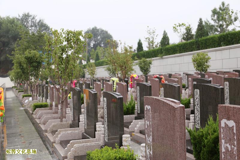 天津民政局：不再新增经营性公墓！！！