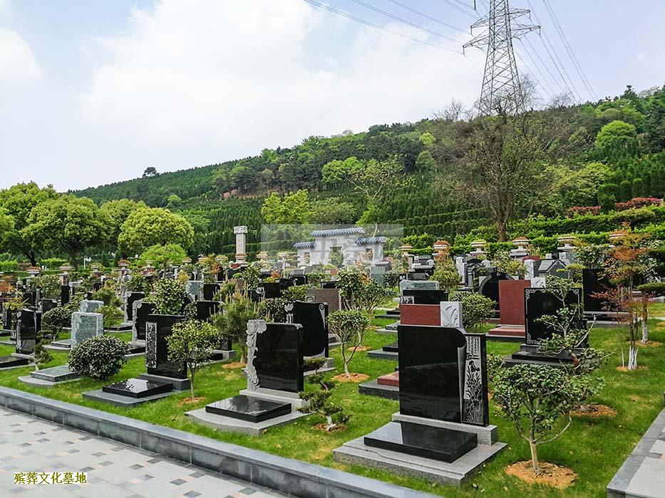 天津殡葬“二次革命”：选择骨灰撒海、草坪葬的越来越多